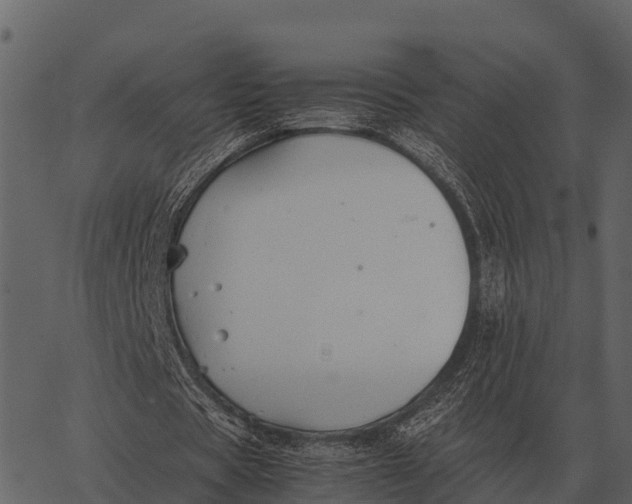 X0000062650529200601111154