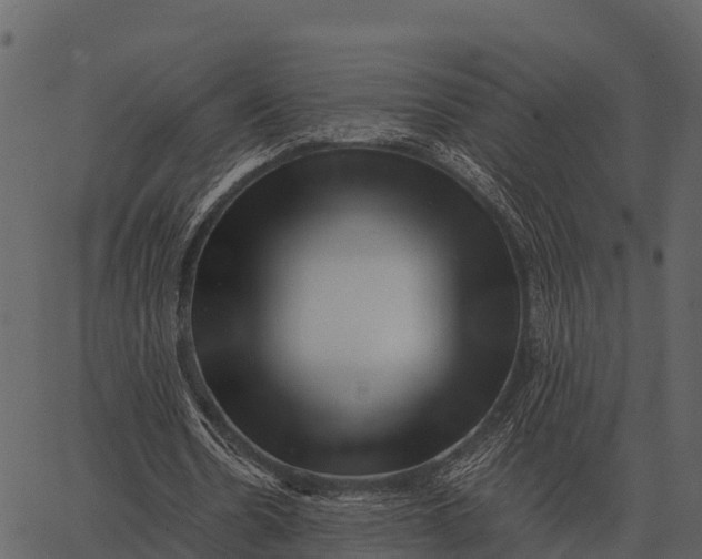 X0000062650530200601111154