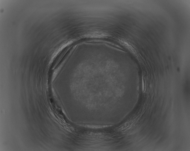 X0000062650531200601111154