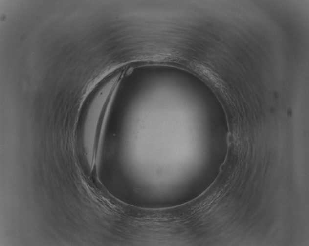 X0000062650532200601111154