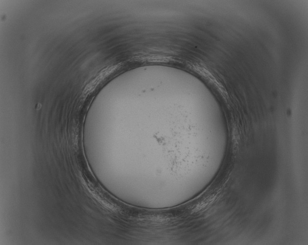 X0000062650533200601111154