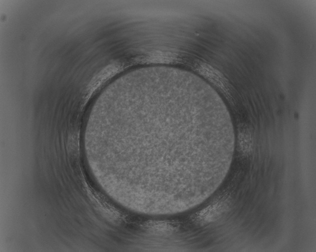 X0000062650534200601111154