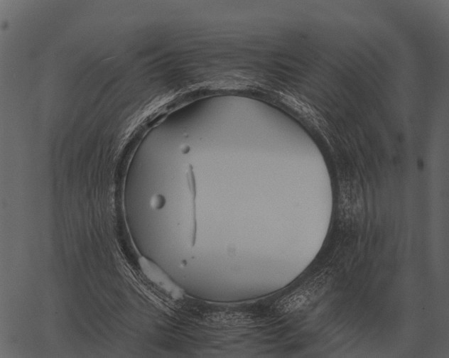 X0000062650535200601111154