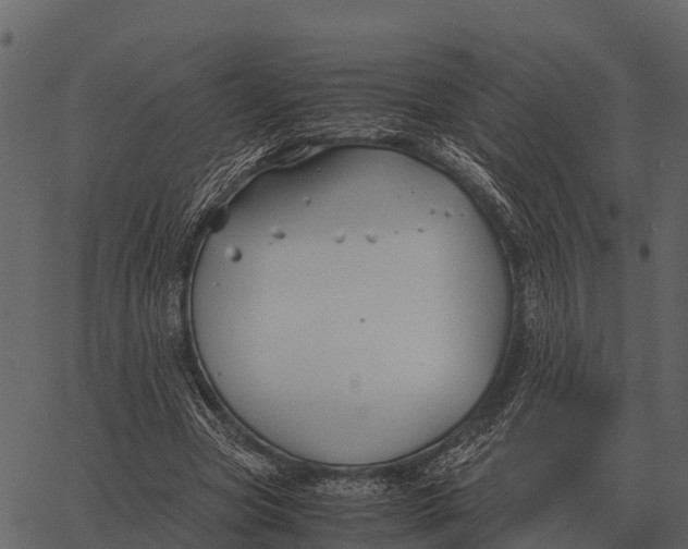 X0000062650537200601111154