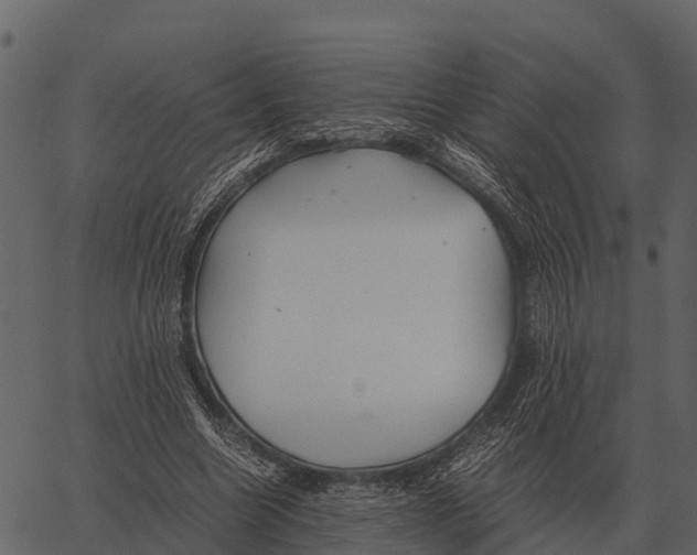 X0000062650538200601111154