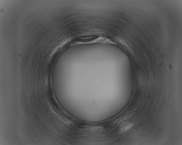 X0000062650539200601111154