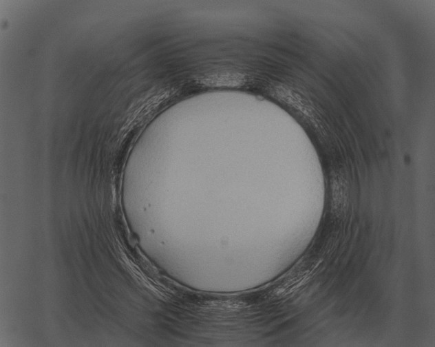 X0000062650541200601111154