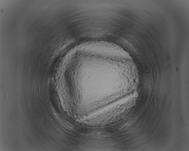 X0000062650542200601111154