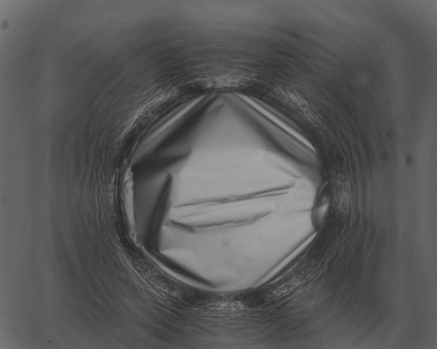 X0000062650543200601111154