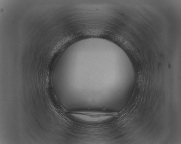 X0000062650544200601111154