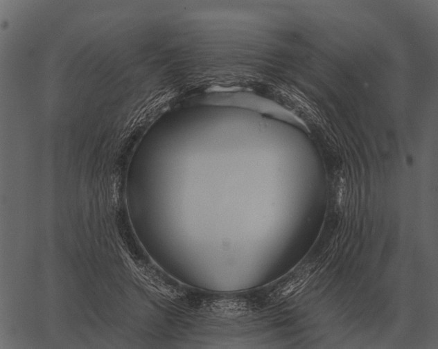 X0000062650546200601111154