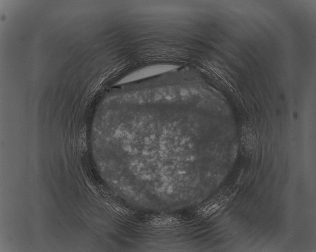 X0000062650547200601111154