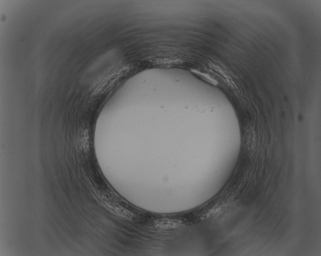 X0000062650549200601111154