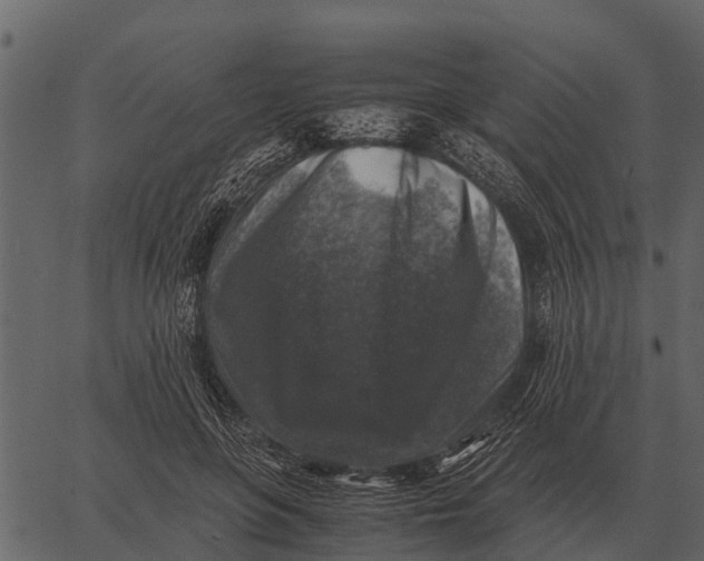 X0000062650551200601111154