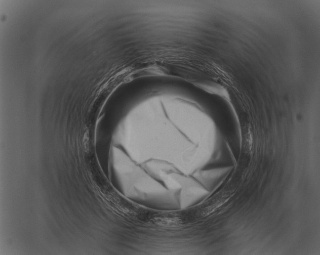 X0000062650552200601111154