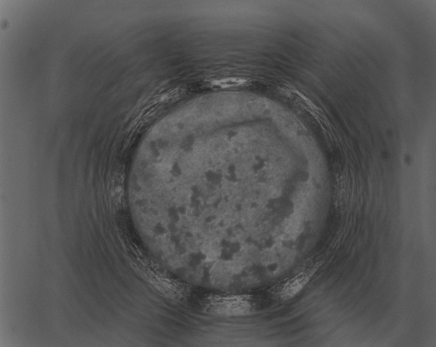 X0000062650553200601111154