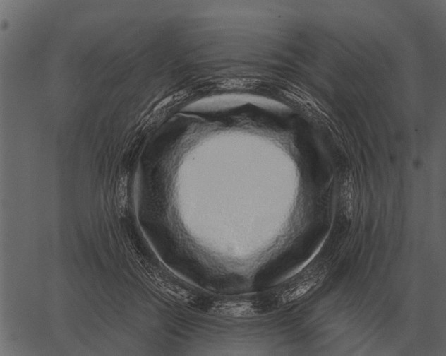 X0000062650554200601111154