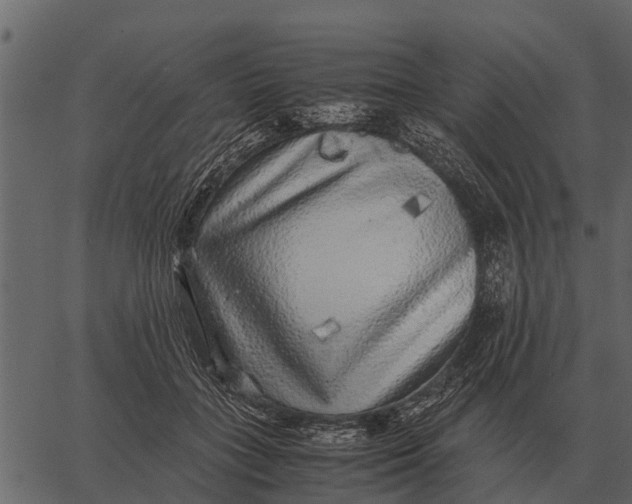 X0000062650555200601111154