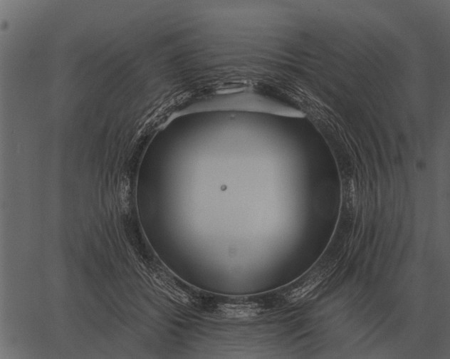 X0000062650556200601111154