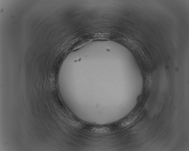 X0000062650557200601111154