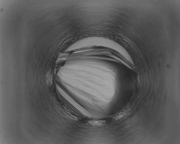 X0000062650558200601111154