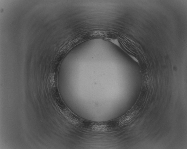 X0000062650560200601111154