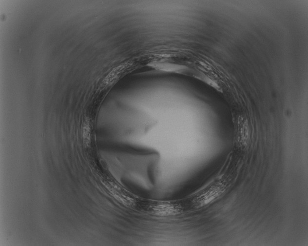 X0000062650562200601111154