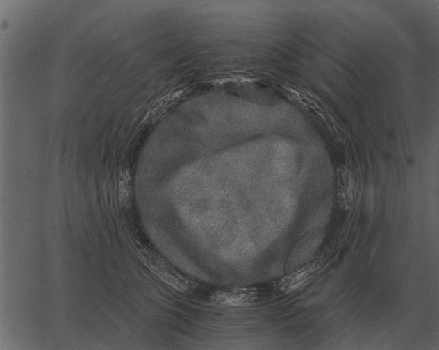 X0000062650563200601111154