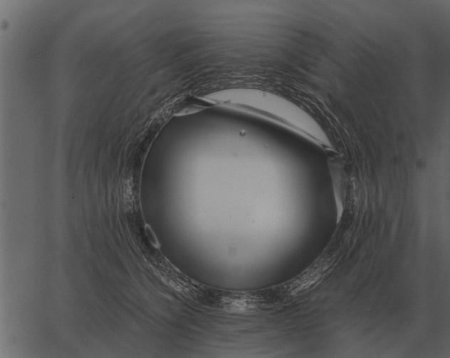 X0000062650564200601111154