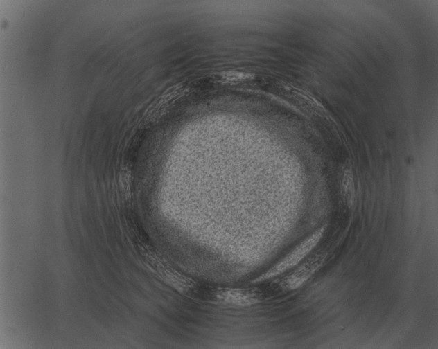 X0000062650565200601111154