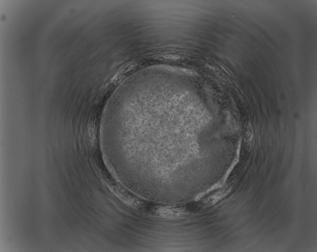 X0000062650568200601111154