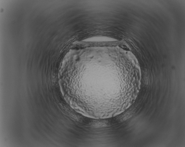 X0000062650569200601111155