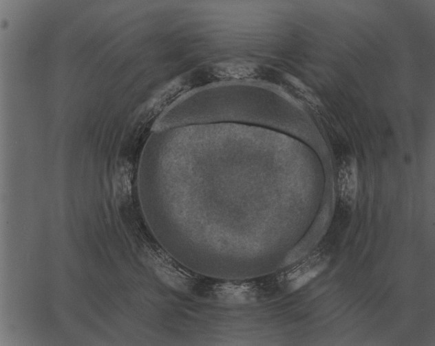 X0000062650570200601111155