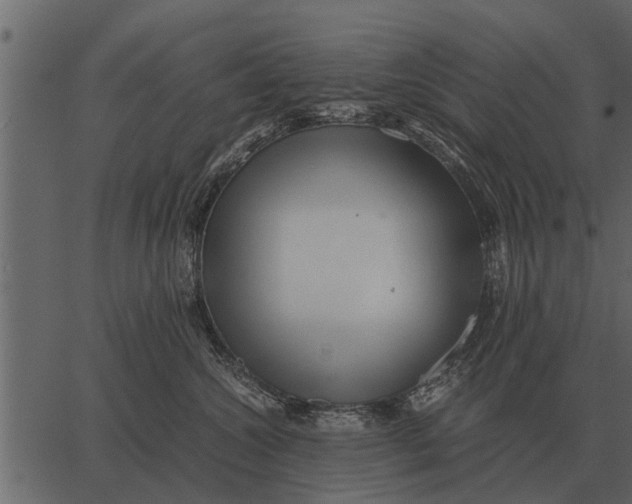 X0000062650572200601111155