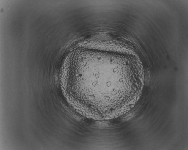 X0000062650573200601111155