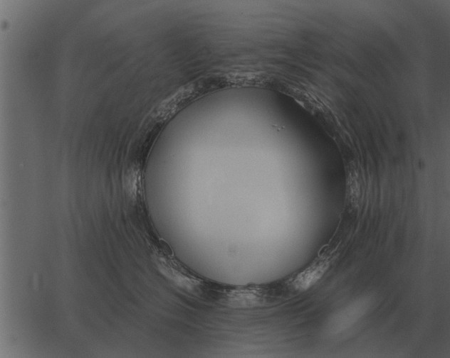 X0000062650574200601111155