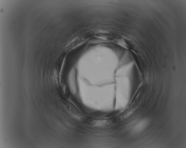 X0000062650575200601111155