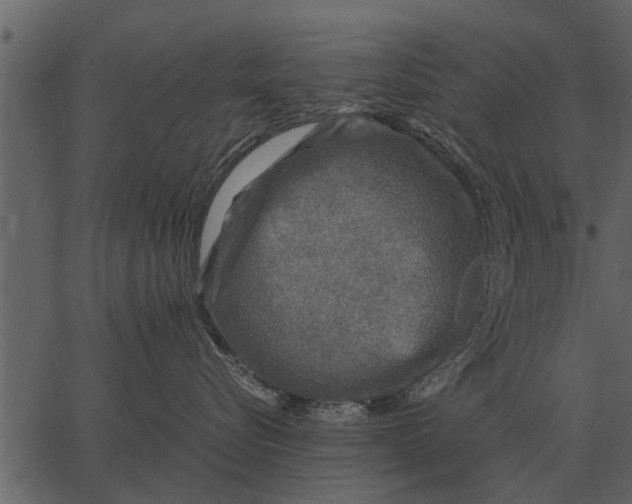 X0000062650576200601111155