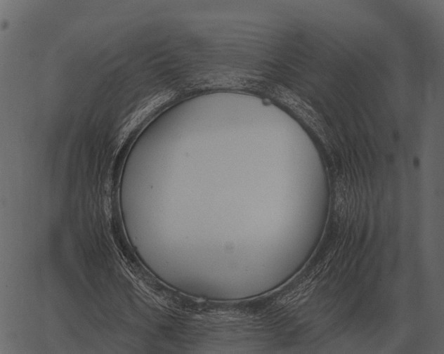 X0000062650578200601111154