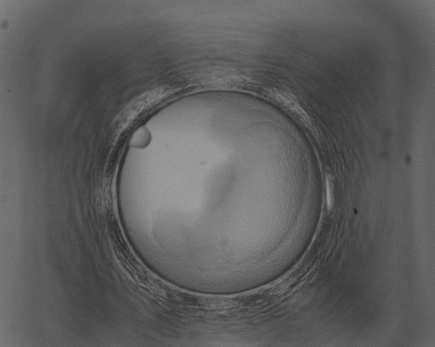 X0000062650579200601111154