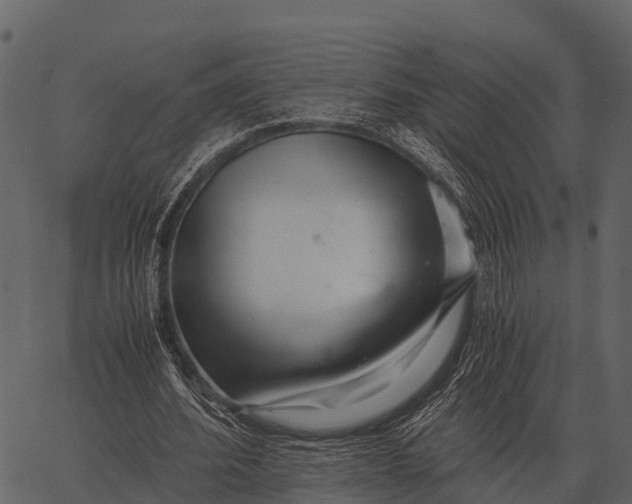 X0000062650580200601111154