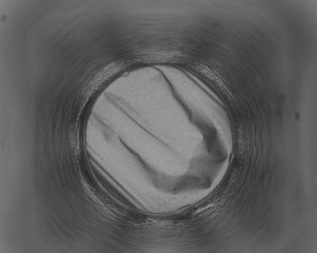 X0000062650582200601111154