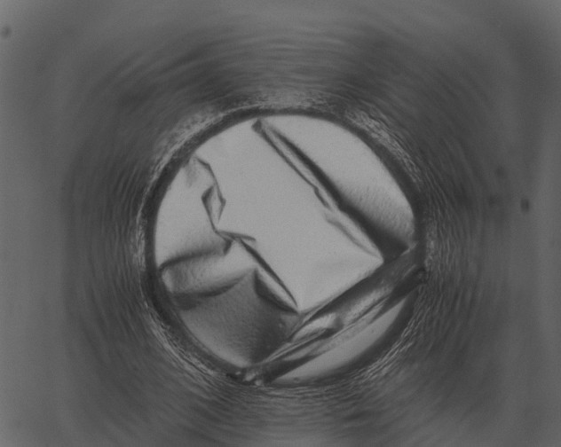 X0000062650584200601111154