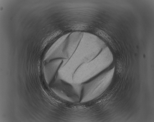 X0000062650586200601111154