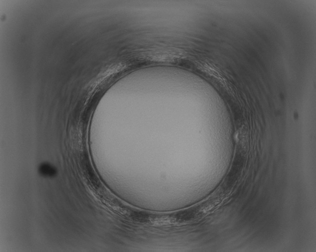 X0000062650587200601111154