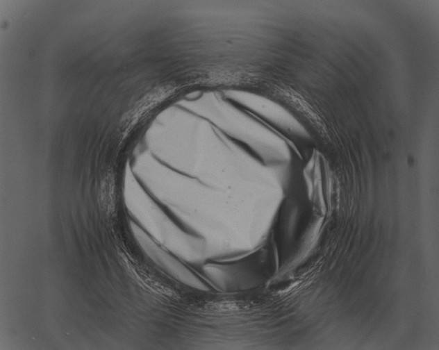 X0000062650588200601111154