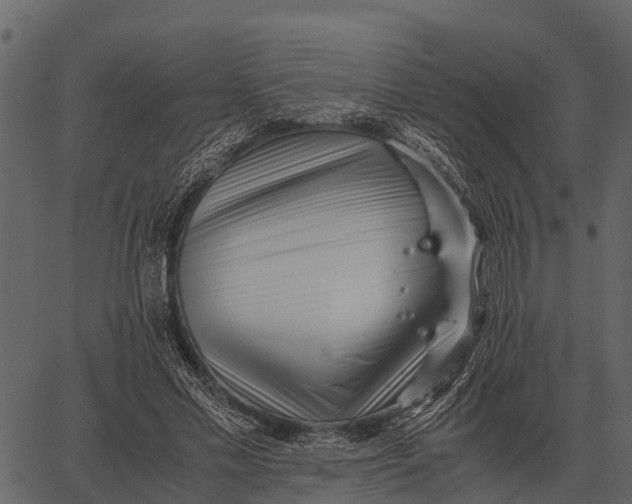 X0000062650589200601111154