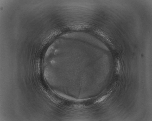 X0000062650590200601111154