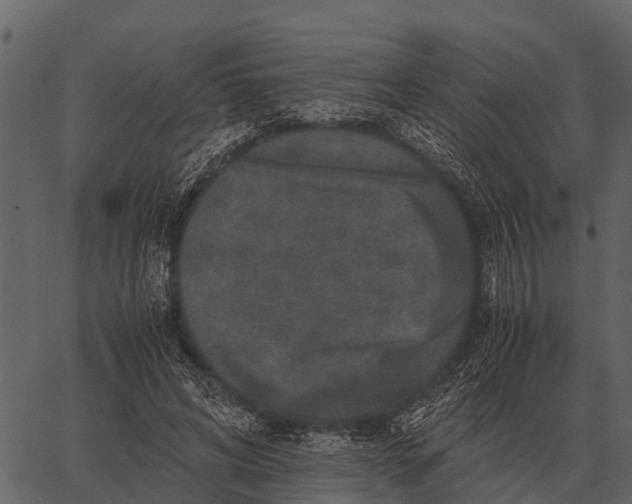 X0000062650592200601111154