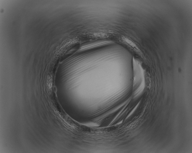 X0000062650593200601111154